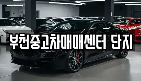 경기 부천시 원미구 중고차 전문 부천중고차매매센터 단지