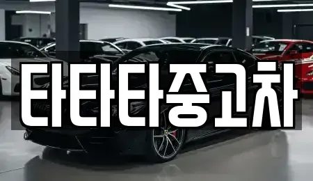 경기 부천시 원미구 중고차 전문 타타타중고차