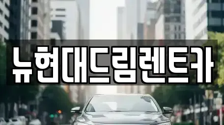 경기 성남시 분당구 율동 렌트카 전문 뉴현대드림렌트카