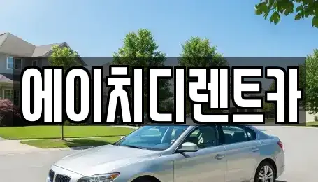 경기 성남시 분당구 율동 렌트카 전문 에이치디렌트카