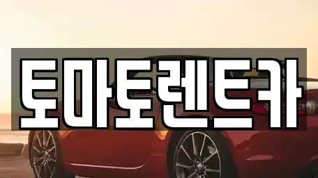 경기 성남시 분당구 율동 렌트카 전문 토마토렌트카