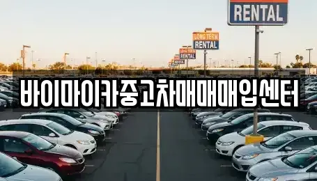 경기 성남시 분당구 율동 중고차매입 전문 바이마이카중고차매매매입센터