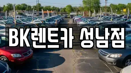 경기 성남시 중원구 성남동 렌트카 전문 BK렌트카 성남점