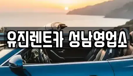경기 성남시 중원구 성남동 렌트카 전문 유진렌트카 성남영업소