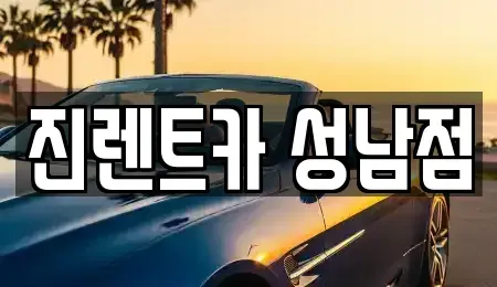 경기 성남시 중원구 성남동 렌트카 전문 진렌트카 성남점