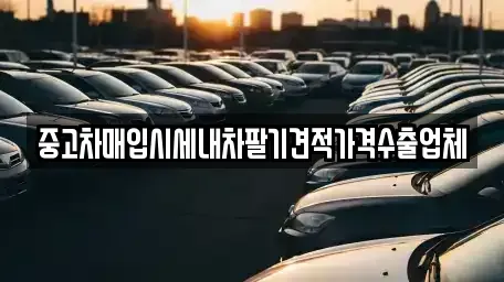 경기 성남시 중원구 성남동 중고차매입 전문 중고차매입시세내차팔기견적가격수출업체