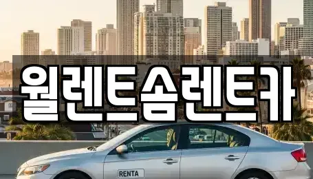 경기 수원시 장안구 상광교동 렌트카 전문 월렌트솜렌트카