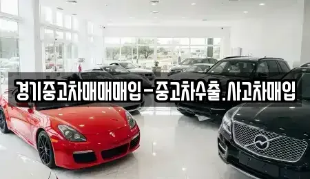 경기 수원시 장안구 상광교동 중고차 전문 경기중고차매매매입-중고차수출.사고차매입