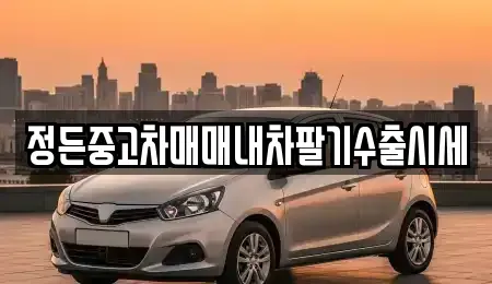 경기 수원시 장안구 상광교동 중고차 전문 정든중고차매매내차팔기수출시세
