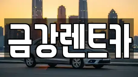 경기 수원시 장안구 영화동 렌트카 전문 금강렌트카