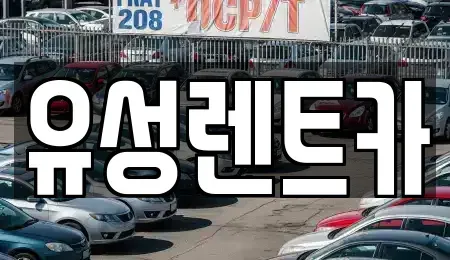 경기 수원시 장안구 영화동 렌트카 전문 유성렌트카