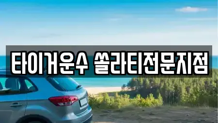 경기 수원시 장안구 영화동 렌트카 전문 타이거운수 쏠라티전문지점