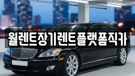 경기 수원시 장안구 영화동 장기렌트카 전문 월렌트장기렌트플랫폼직카