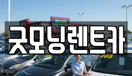 경기 수원시 팔달구 인계동 렌트카 전문 굿모닝렌트카