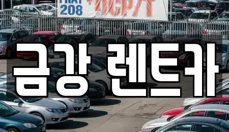 경기 수원시 팔달구 인계동 렌트카 전문 금강 렌트카