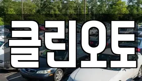경기 수원시 팔달구 인계동 중고차매매 전문 클린오토