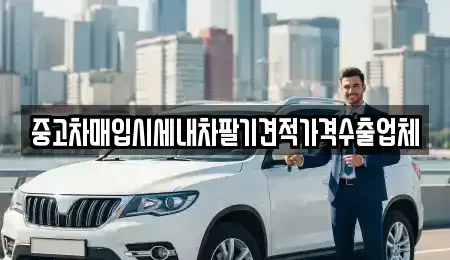 경기 수원시 팔달구 인계동 중고차매입 전문 중고차매입시세내차팔기견적가격수출업체