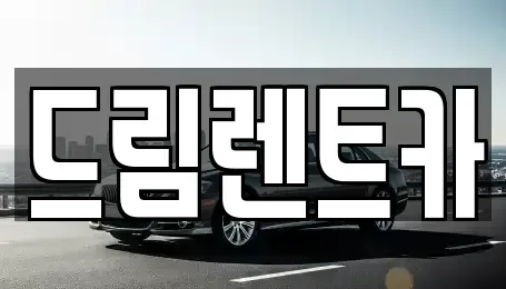 경기 수원시 팔달구 지동 렌트카 전문 드림렌트카