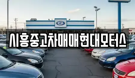 경기 시흥시 목감동 중고차,렌트카,중고차매입,중고차매매,장기렌트카,단기렌트카