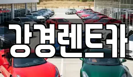 경기 안산시 단원구 초지동 렌트카 전문 강경렌트카
