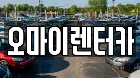 경기 안산시 단원구 초지동 렌트카 전문 오마이렌터카