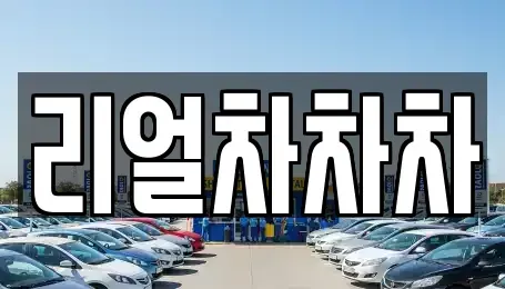경기 안산시 단원구 초지동 중고차매매 전문 리얼차차차