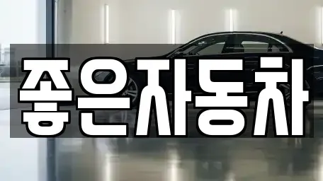 경기 안산시 단원구 초지동 중고차매매 전문 좋은자동차