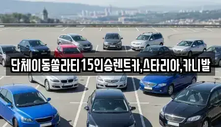경기 안성시 금석동 렌트카 전문 단체이동쏠라티15인승렌트카,스타리아,카니발