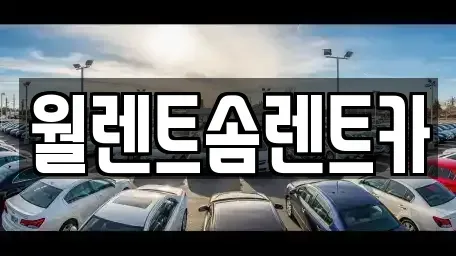 경기 안성시 금석동 렌트카 전문 월렌트솜렌트카