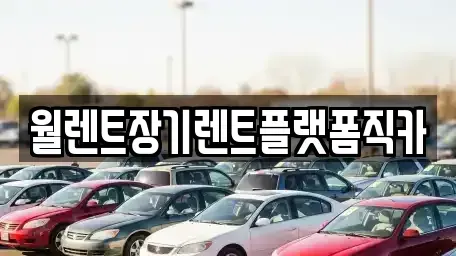 경기 안성시 금석동 렌트카 전문 월렌트장기렌트플랫폼직카