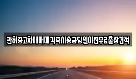 경기 안성시 금석동 중고차 전문 관허중고차매매매각즉시송금당일이전무료출장견적