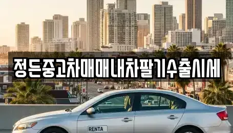 경기 안성시 금석동 중고차 전문 정든중고차매매내차팔기수출시세