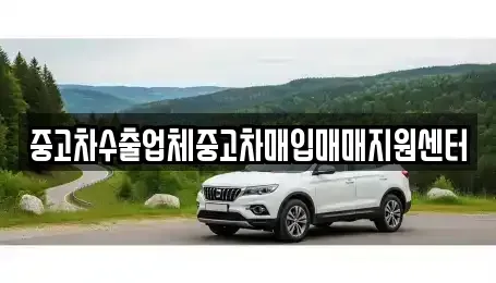 경기 안성시 금석동 중고차매입 전문 중고차수출업체중고차매입매매지원센터