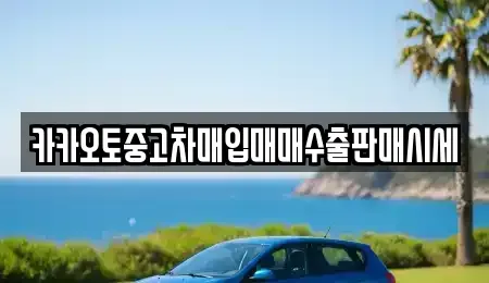경기 안성시 금석동 중고차매입 전문 카카오토중고차매입매매수출판매시세