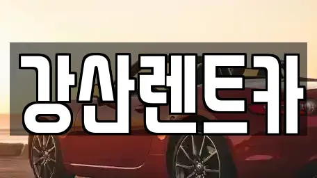 경기 안성시 명륜동 렌트카 전문 강산렌트카