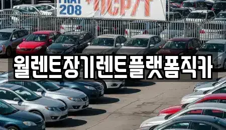 경기 안성시 명륜동 렌트카 전문 월렌트장기렌트플랫폼직카