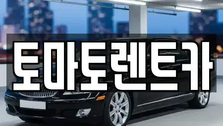경기 안성시 명륜동 렌트카 전문 토마토렌트카