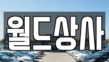 경기 안성시 명륜동 중고차매매 전문 월드상사