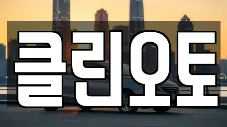 경기 안성시 명륜동 중고차매매 전문 클린오토