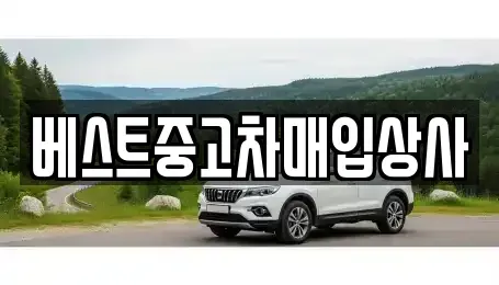 경기 안성시 명륜동 중고차매입 전문 베스트중고차매입상사