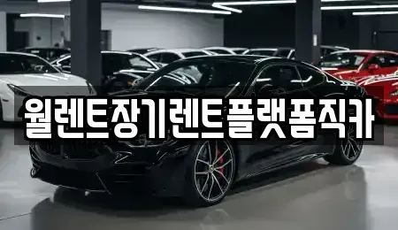 경기 안성시 장기렌트카 전문 월렌트장기렌트플랫폼직카