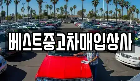 경기 안성시 중고차 전문 베스트중고차매입상사