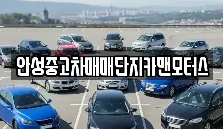 경기 안성시 중고차 전문 안성중고차매매단지카맨모터스