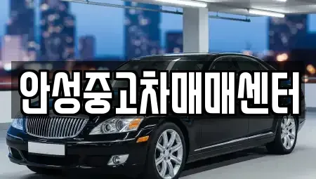 경기 안성시 중고차 전문 안성중고차매매센터