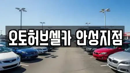 경기 안성시 중고차,렌트카,중고차매입,중고차매매,장기렌트카,단기렌트카