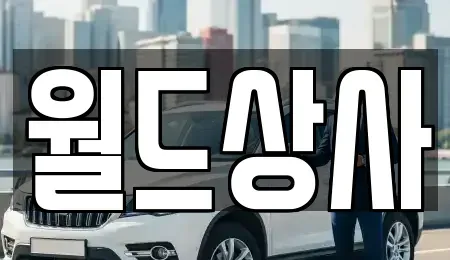 경기 안성시 중고차 전문 월드상사