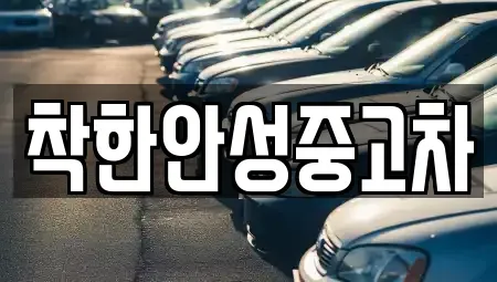 경기 안성시 중고차매매 전문 착한안성중고차