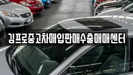 경기 안성시 중고차매입 전문 김프로중고차매입판매수출매매센터