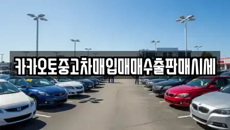 경기 안성시 중고차매입 전문 카카오토중고차매입매매수출판매시세