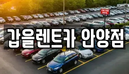 경기 안양시 동안구 평촌동 렌트카 전문 갑을렌트카 안양점